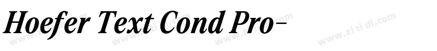 Hoefer Text Cond Pro字体转换